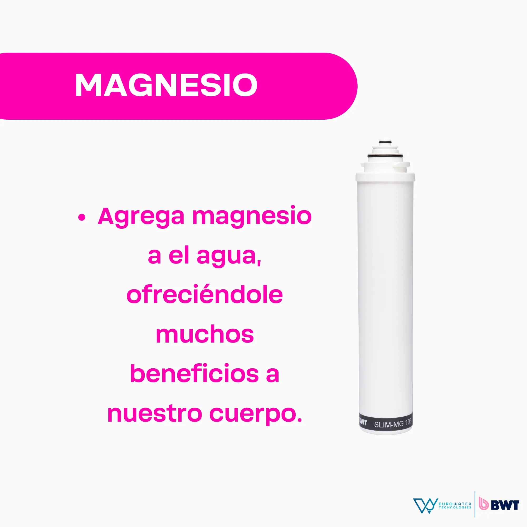 CARTUCHO DE REPUESTO 6 MESES para SLIM 4 (Sedimentos y Magnesio)